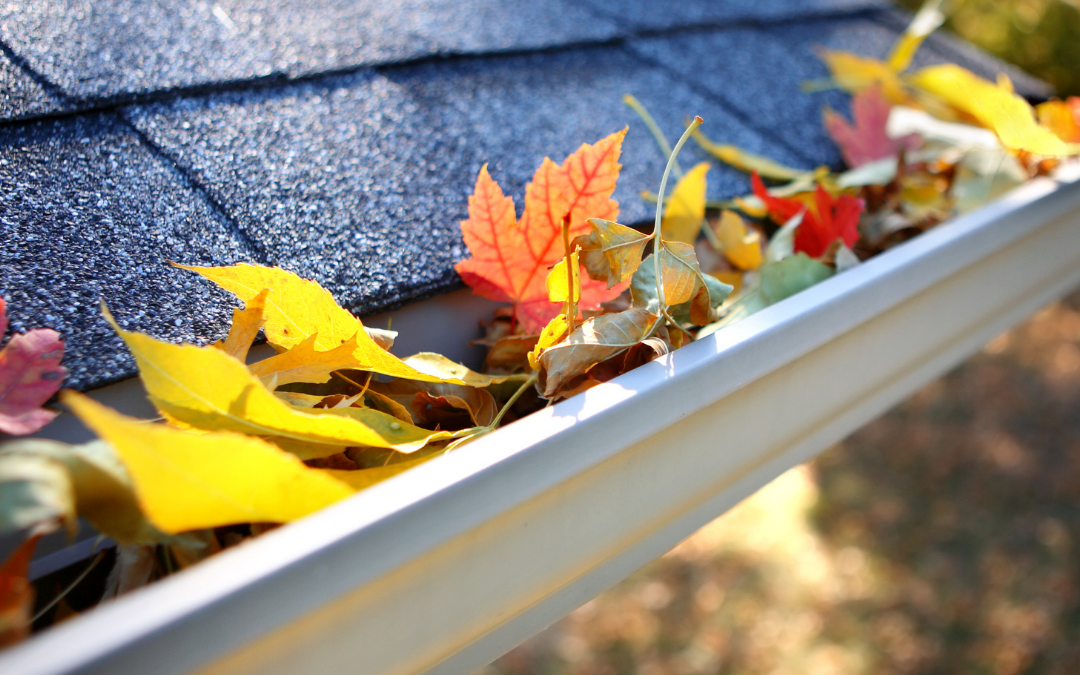 gutter, leaves, gutter cleaning