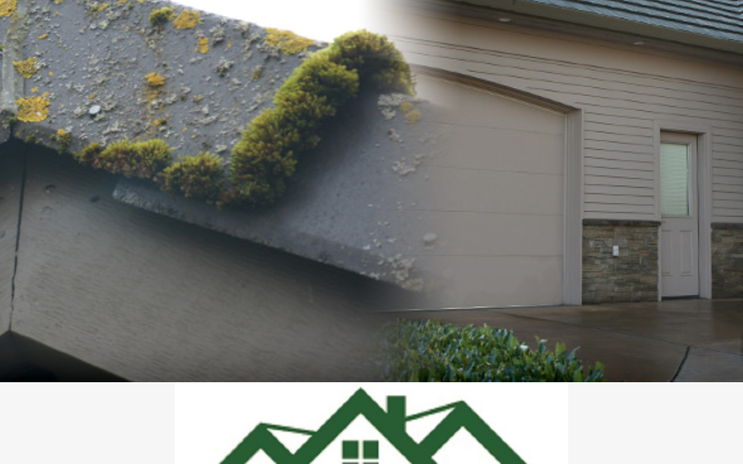 moss, roof, gutter cleaning