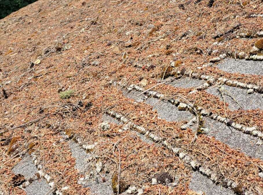 The Hidden Dangers of Leaving Debris on Your Roof